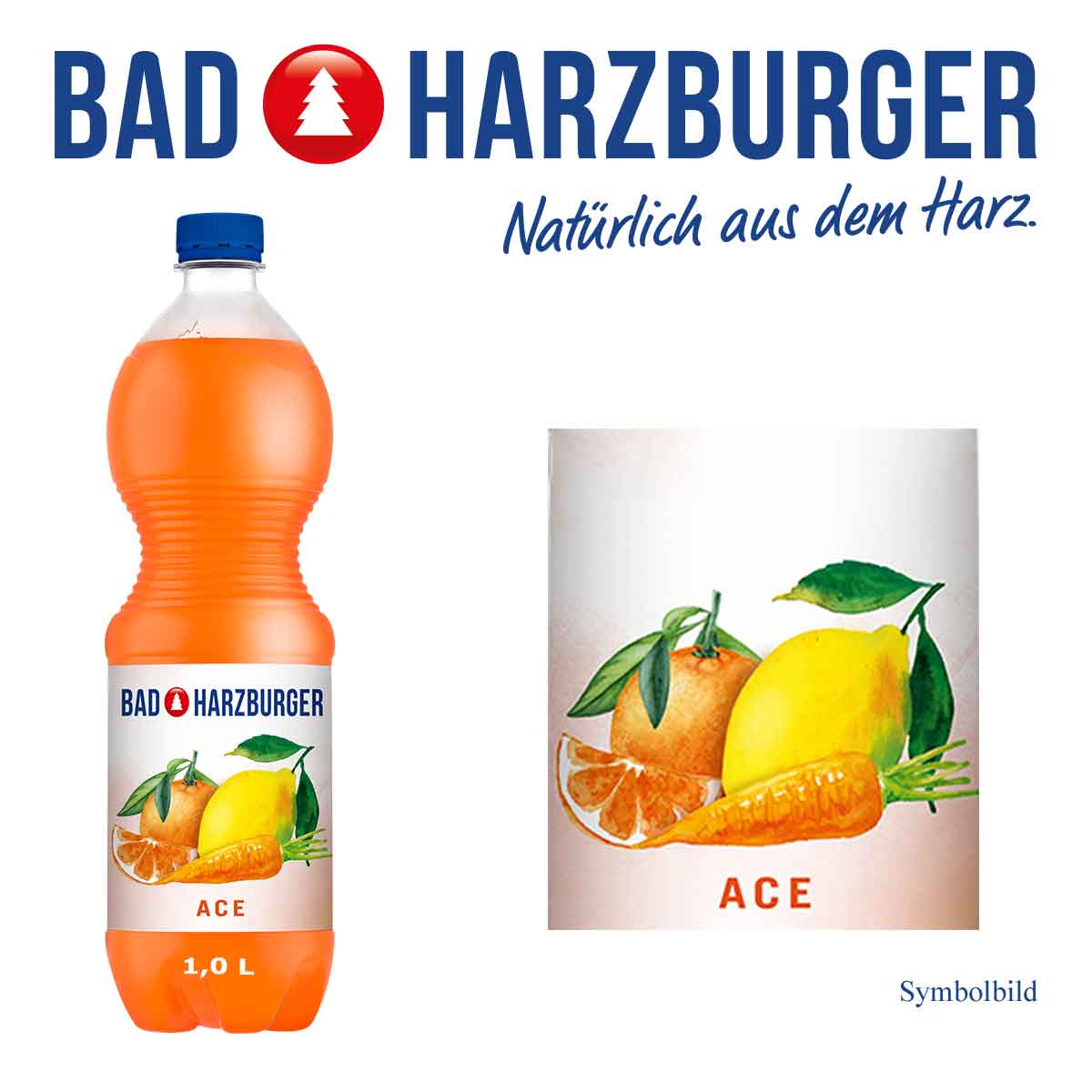 Bad Harzburger ACE